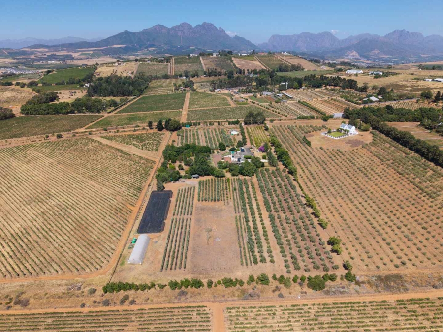 5 Bedroom Property for Sale in Stellenbosch Farms Western Cape